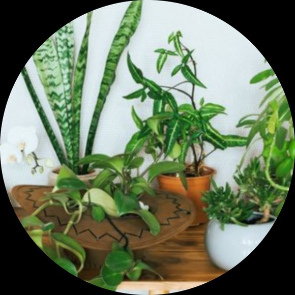 greengirl28